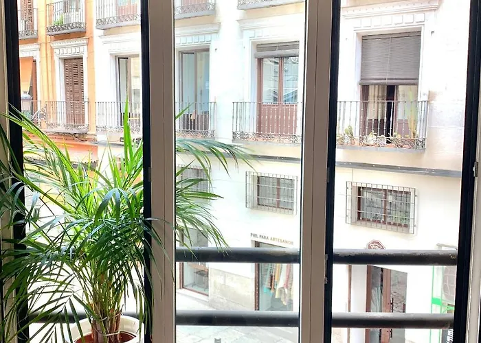 Alquiler Temporal Plaza Mayor